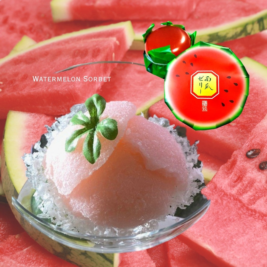 e*n様 misha Bisque Verano Fruit CamillaTa Summer Assortment M Box